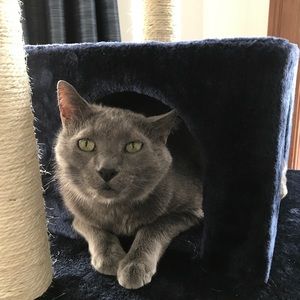 Meet your Posher, Francesca